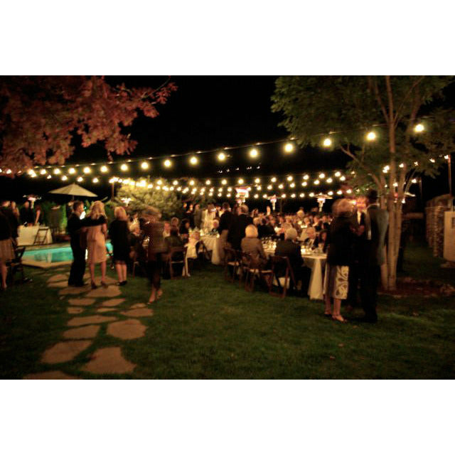 60m Festoon Lights Hire | weddings | Parties - Alpha Sound and Lighting