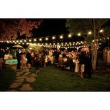 60m Festoon Lights Hire | weddings | Parties - Alpha Sound and Lighting